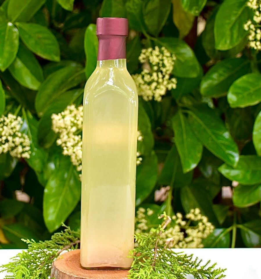 ARMUT SİRKESİ 500 ML
