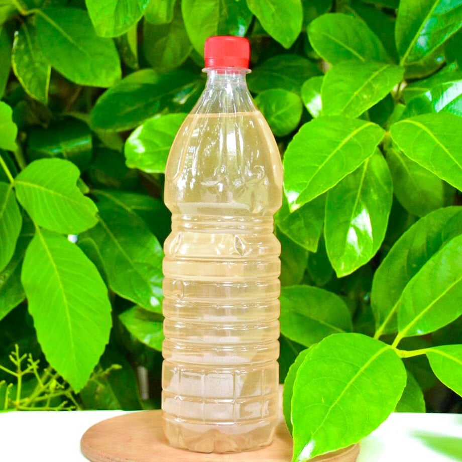 KEKİK SUYU PET 1000 ML görseli.