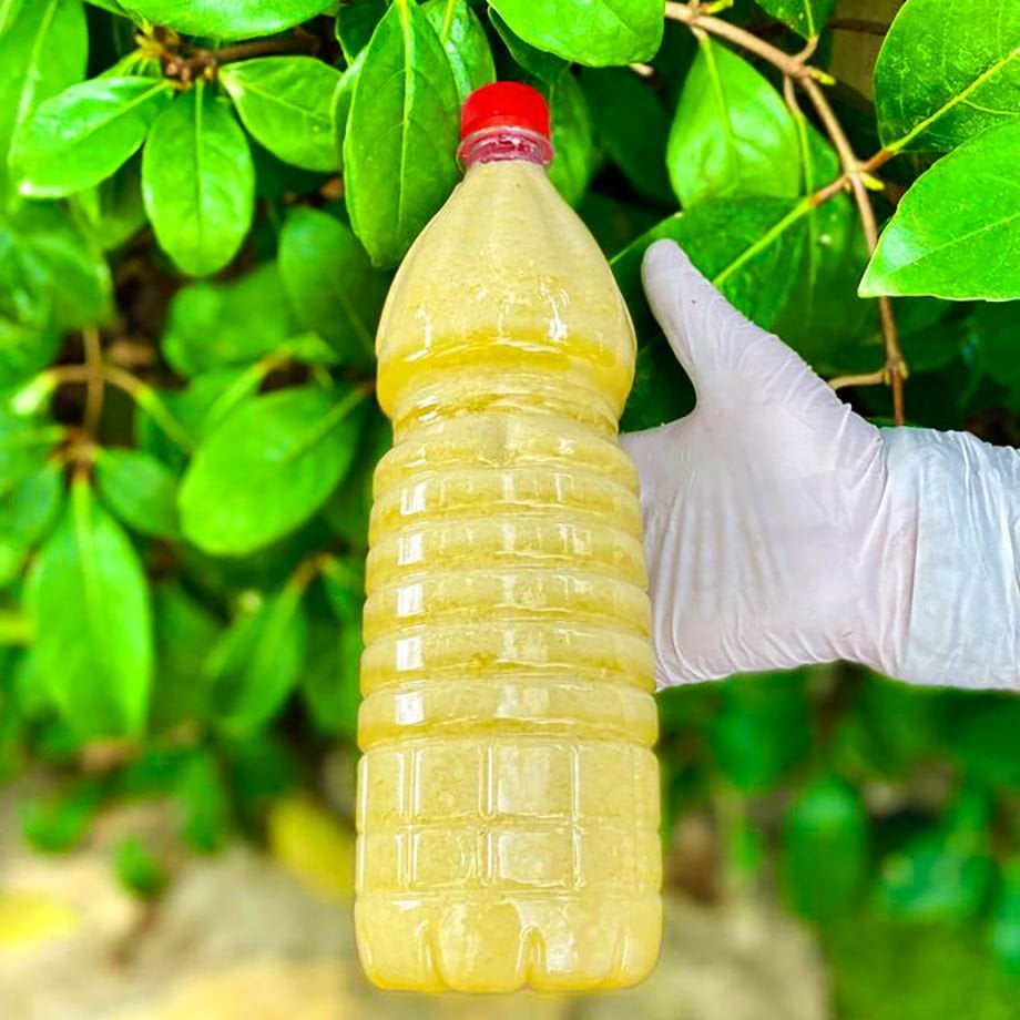YÖRÜK ALİ LİMONLU ZEYTİNYAĞI KARIŞIMI 4000 ML