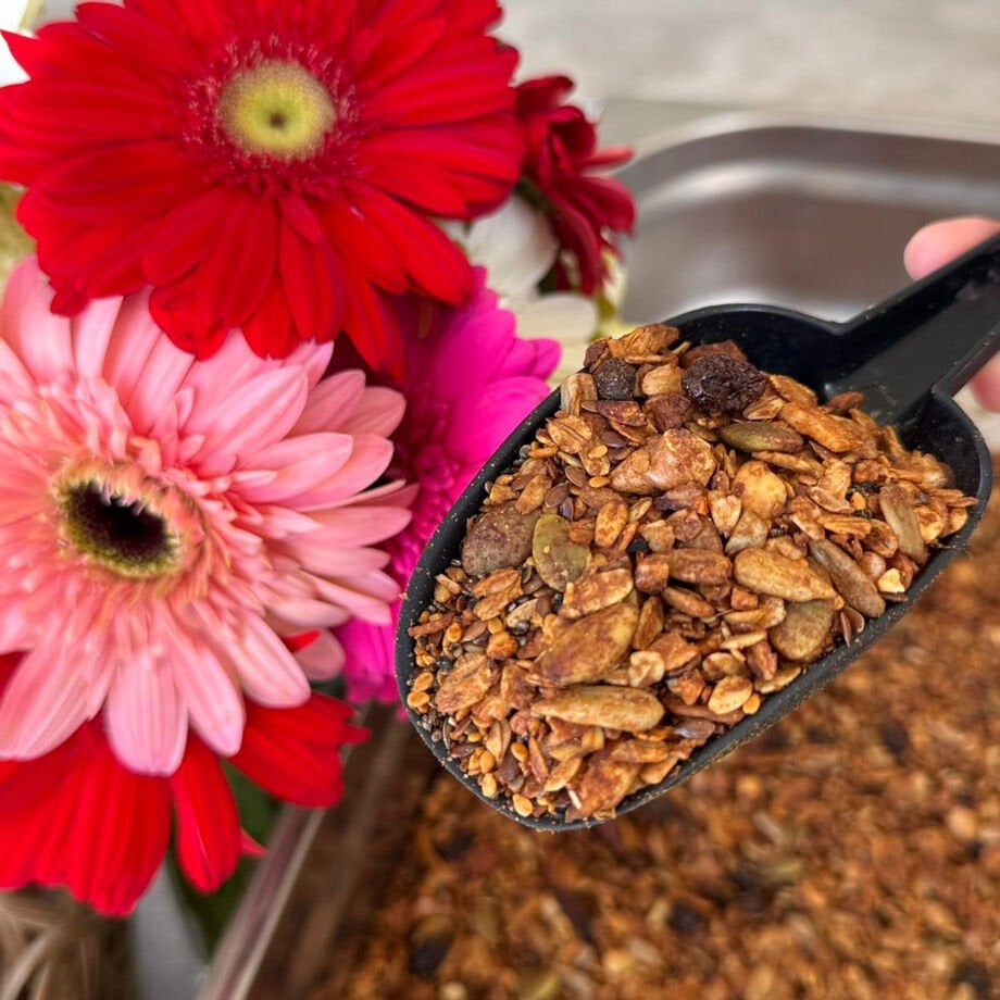 GRANOLA 250 GR
